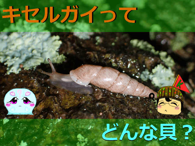 Thumbnail of post image 035